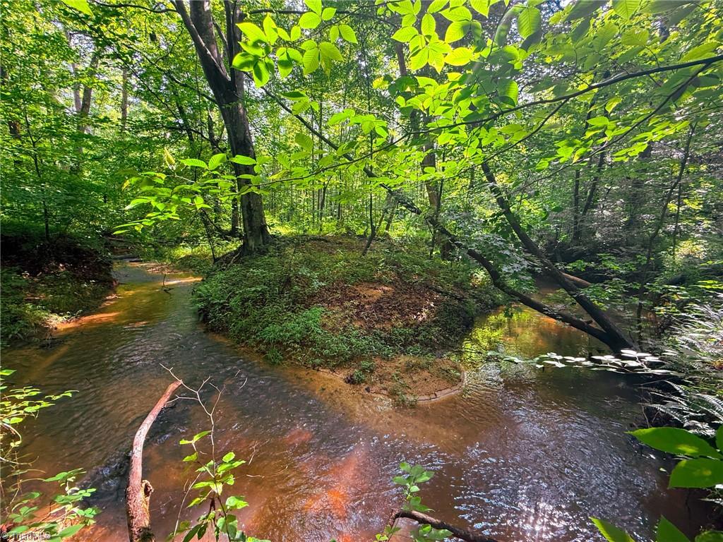 0 Settle Bridge Road Madison, NC 27025 - Photo 18 of 25