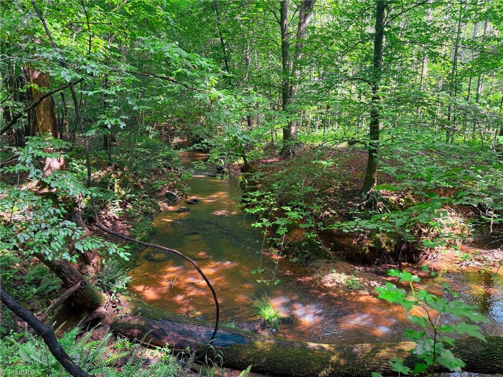 0 Settle Bridge Road Madison, NC 27025 - Photo 19 of 25