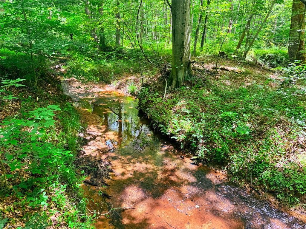 0 Settle Bridge Road Madison, NC 27025 - Photo 20 of 25