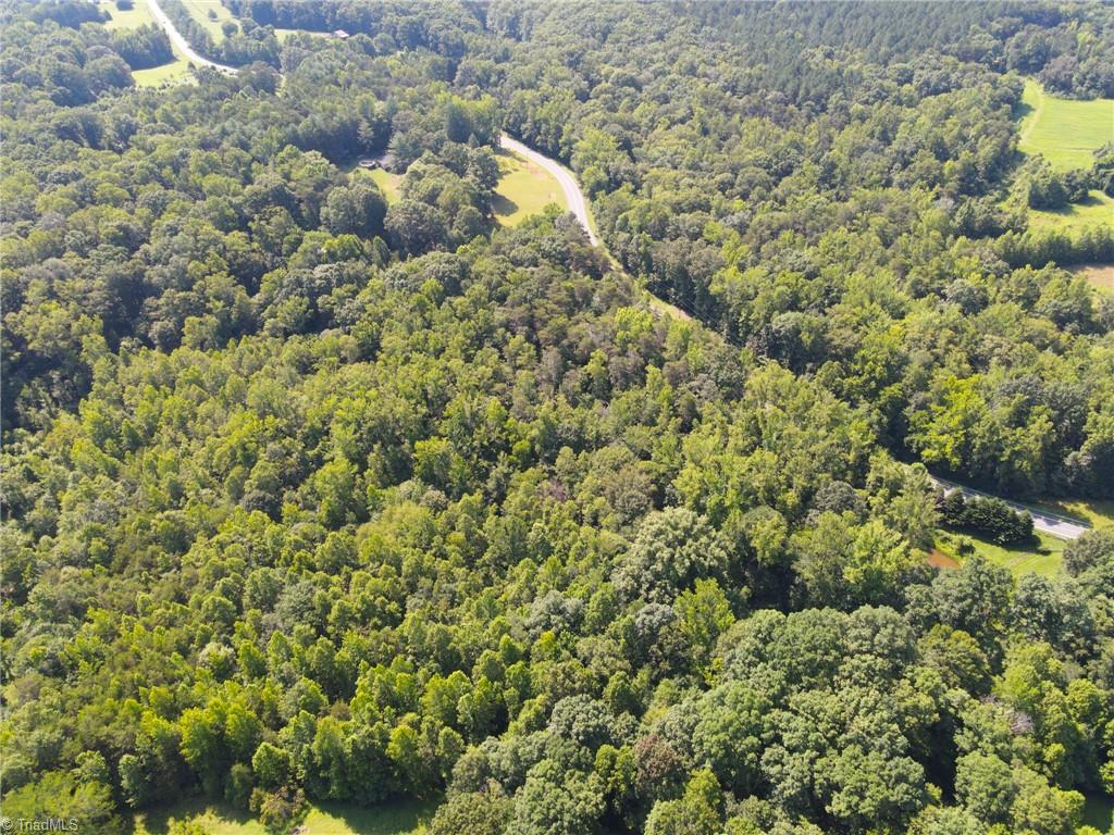 0 Settle Bridge Road Madison, NC 27025 - Photo 24 of 25
