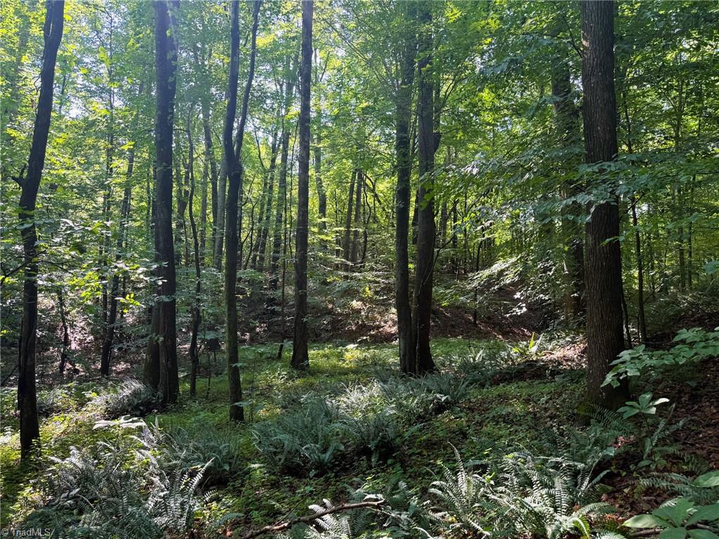 0 Settle Bridge Road Madison, NC 27025 - Photo 10 of 25