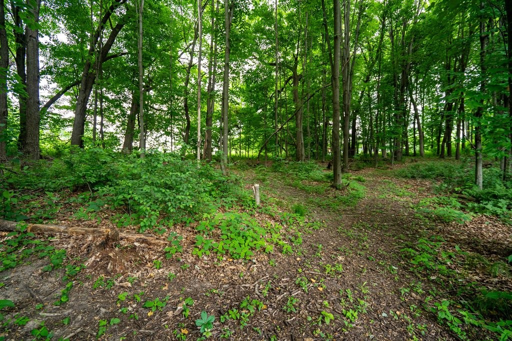 E5251 Basswood Road Eleva, WI 54738 - Photo 54 of 56