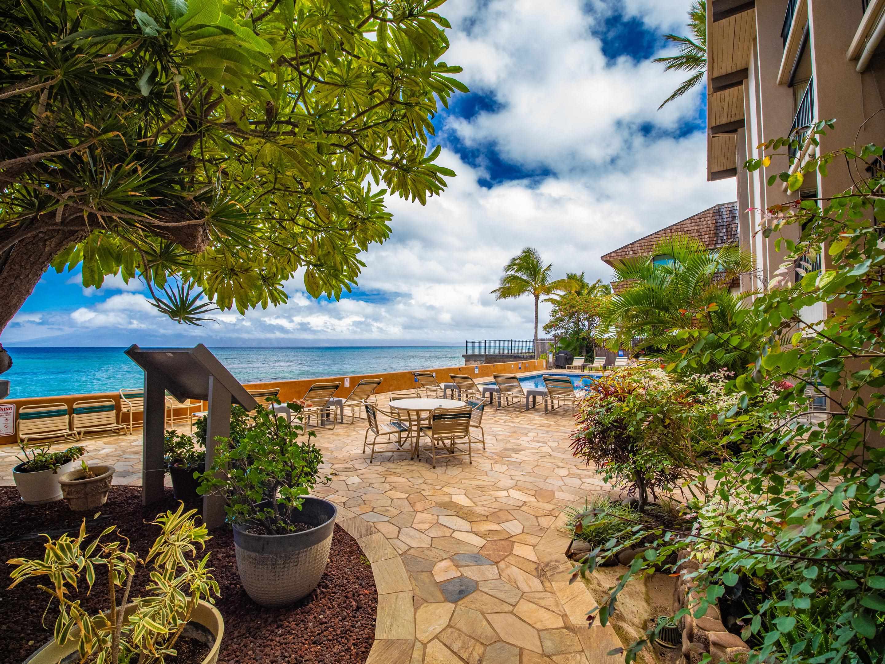 3723 Lower Honoapiilani Road, Unit 104 Lahaina, HI 96761 - Photo 26 of 45 a view of a patio with table and chairs potted plants