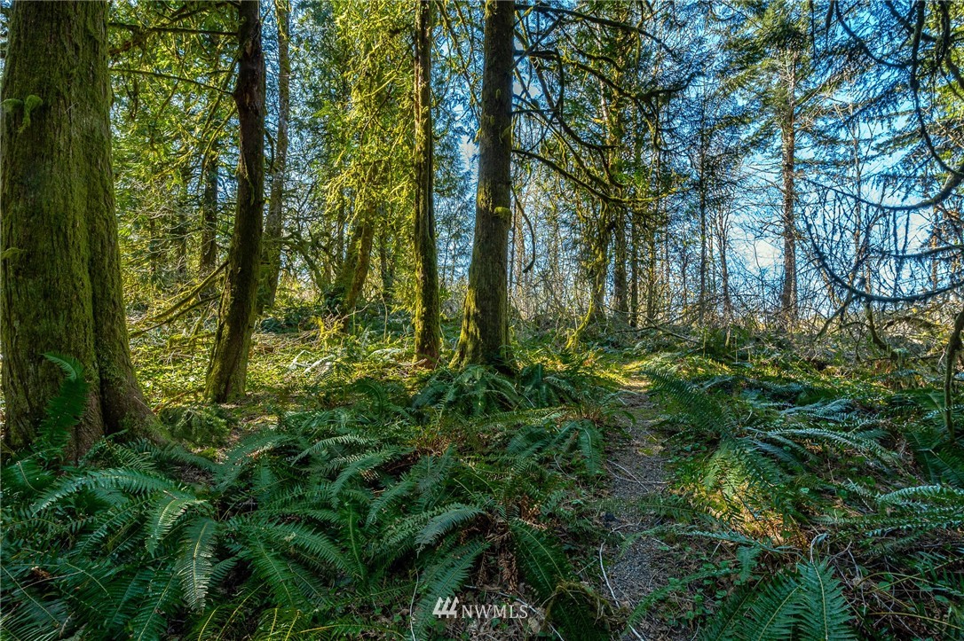 2016 Little Hanaford Road Centralia, WA 98531 - Photo 1 of 14 Gallery Image 1