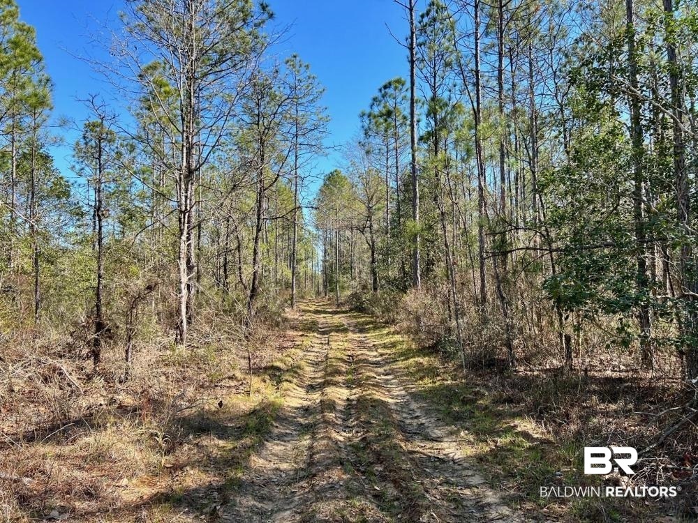 0 Country Road Deer Park, AL 36529 - Photo 42 of 46
