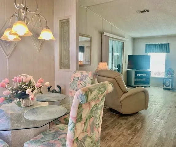 a living room with furniture flowerpot and a chandelier