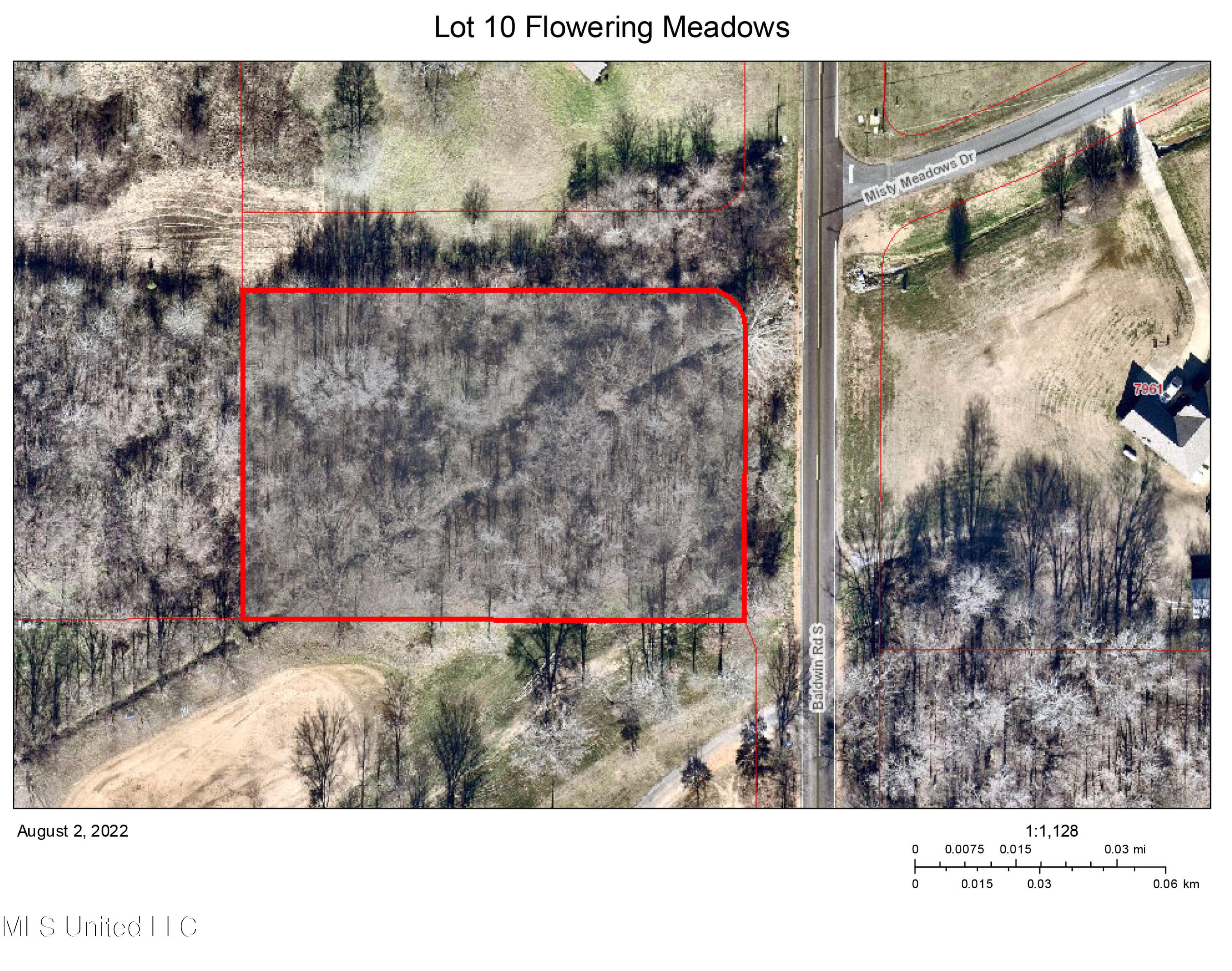 Lot 10 Baldwin Rd Lake Lake Cormorant, MS 38641 - Photo 1 of 3 GIS Image