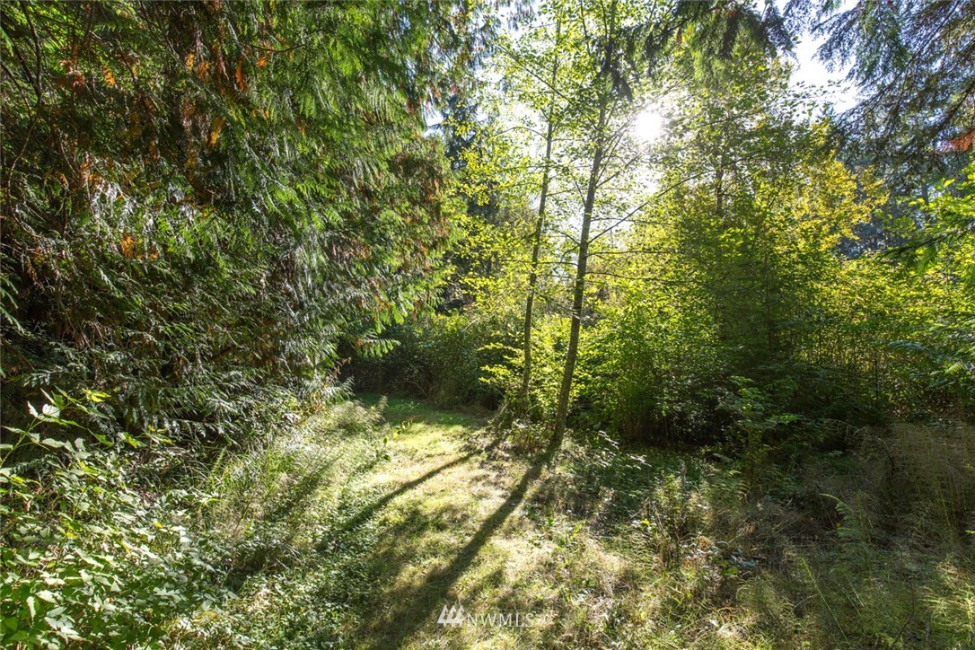 811 Pearce Road Port Angeles, WA 98362 - Photo 23 of 40 Gallery Image 23