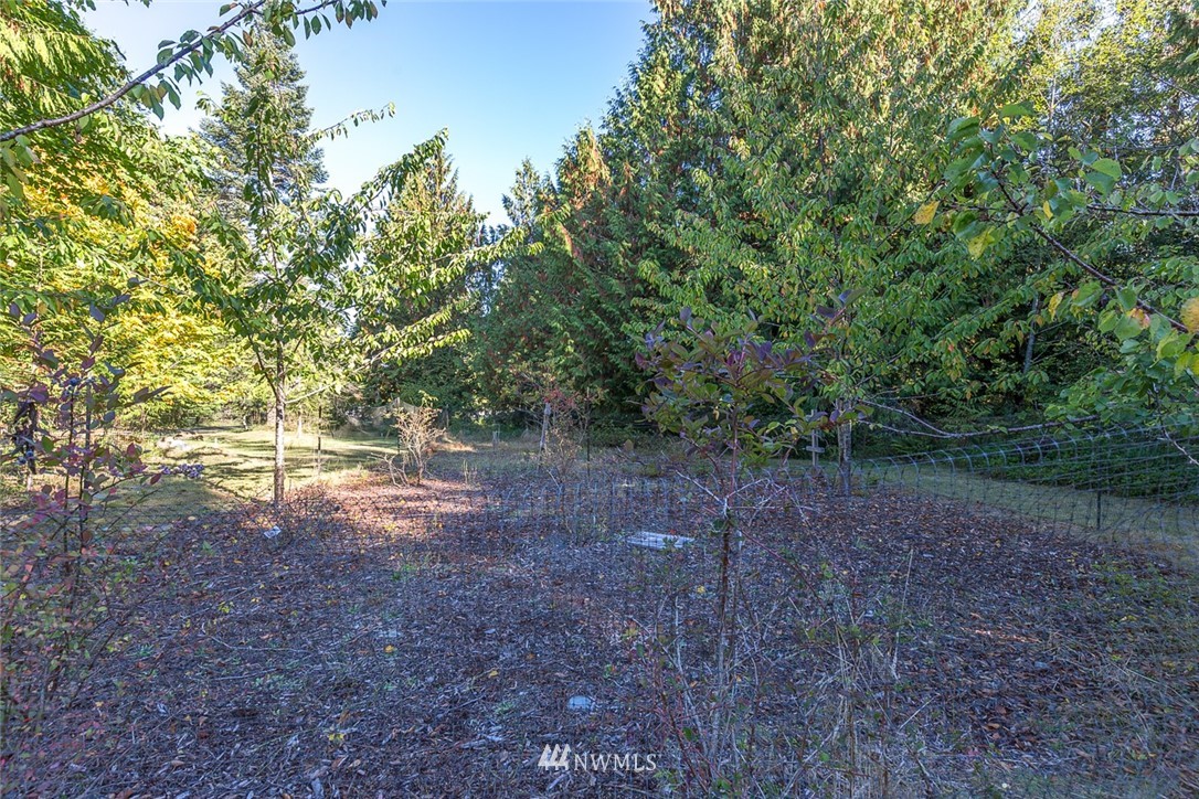 811 Pearce Road Port Angeles, WA 98362 - Photo 33 of 40 Gallery Image 33