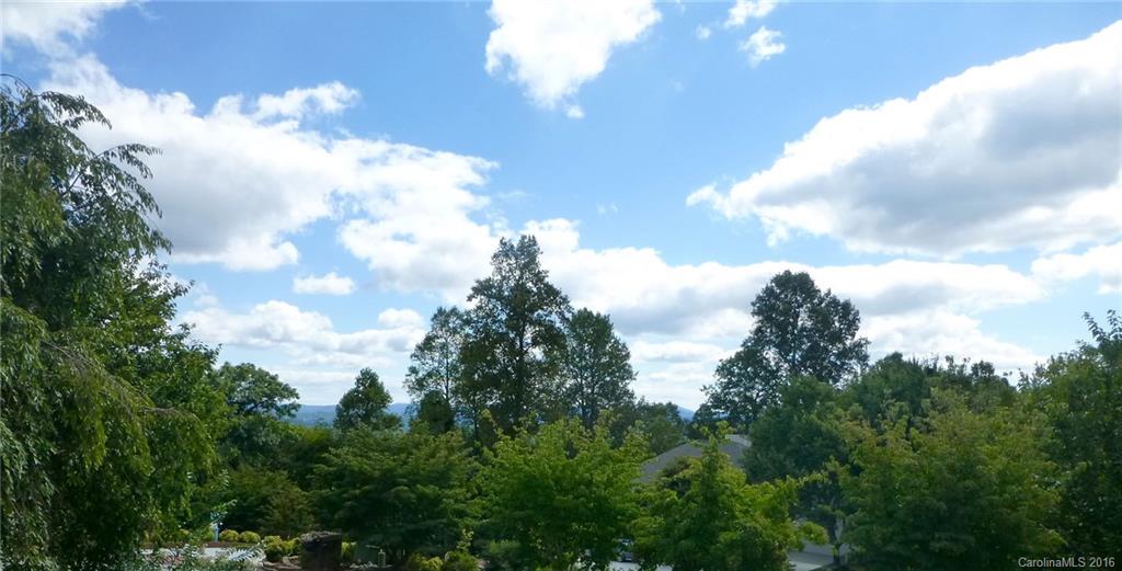 643 High Quarry Road, Unit 643 Hendersonville, NC 28791 - Photo 7 of 22 Gallery Image 7