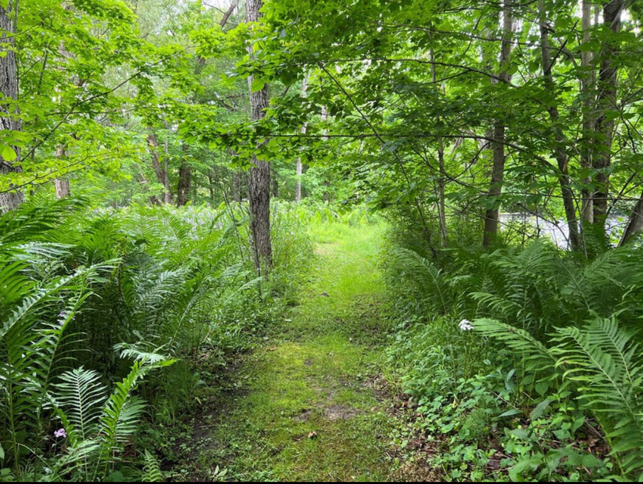 15 Simms Road Chateaugay, NY 12920 - Photo 27 of 35 IMG_1204