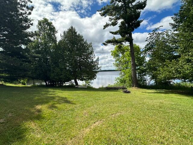 21888 Shallow Lake Road Warba, MN 55793 - Photo 4 of 44
