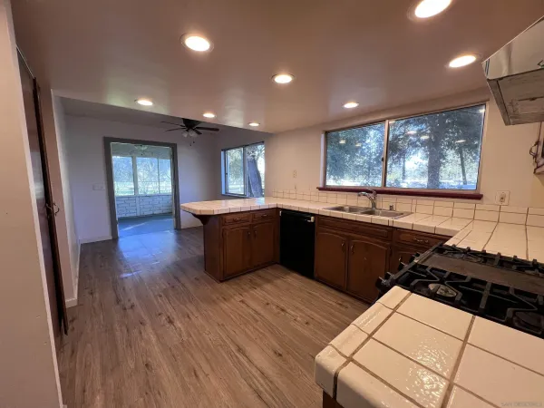 a view of backyard with trees