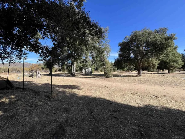 a view of outdoor space with lots of trees