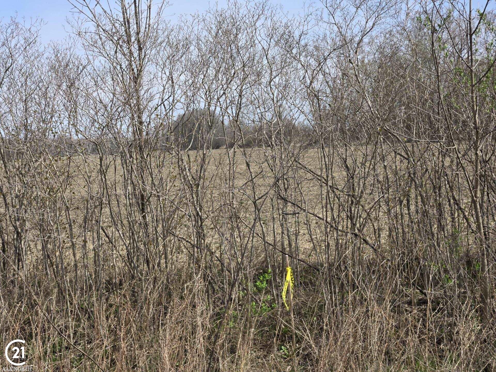 0 Meskill (lot D) Road Columbus, MI 48063 - Photo 1 of 15