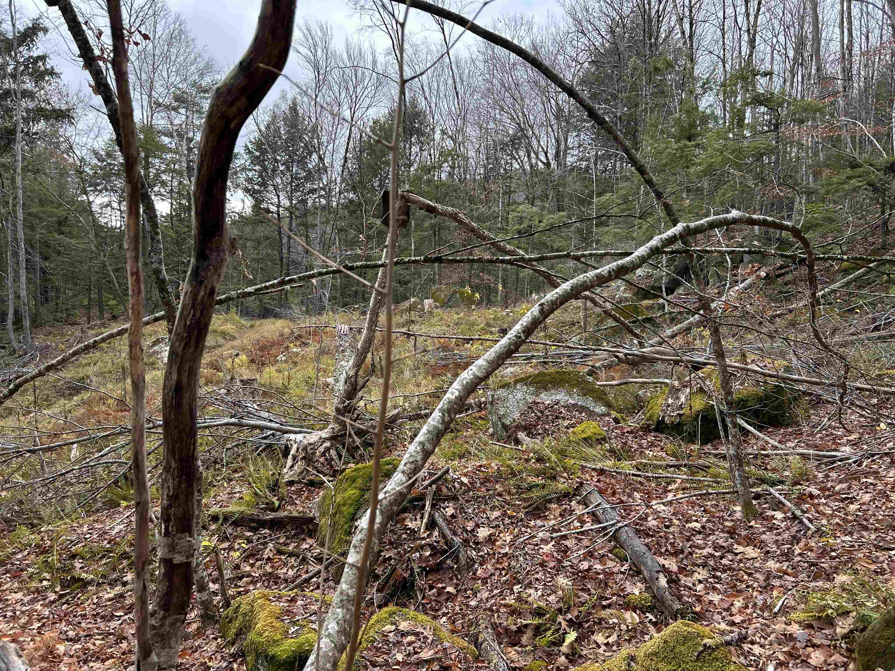 0 Pound Road North North Sutton, NH 03260 - Photo 16 of 51