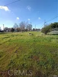 a view of a field with an trees