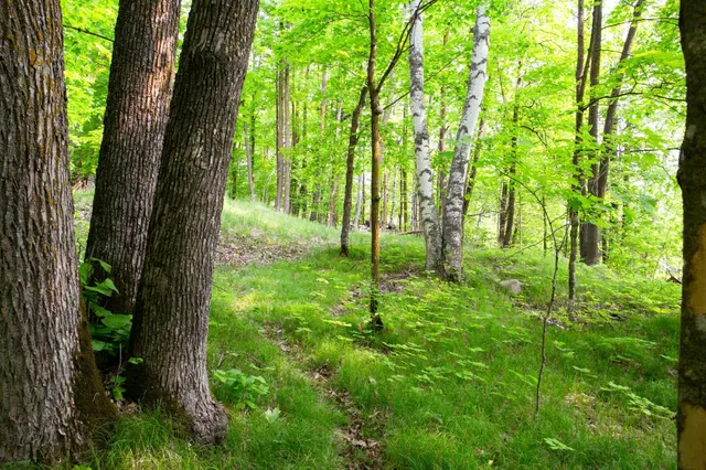 $375,000 | 8586 West Graves Lake Road Northeast, Remer, MN 56672