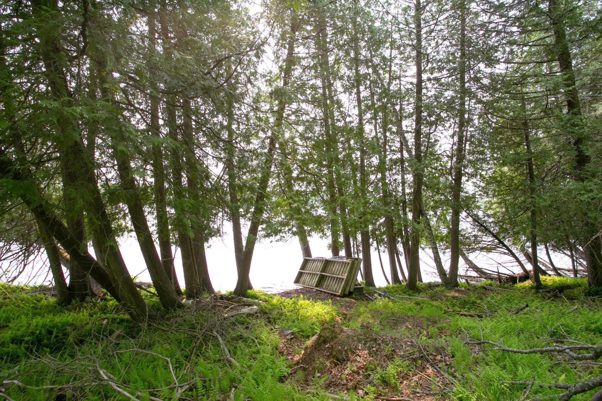 8586 West Graves Lake Road Northeast Remer, MN 56672 - Photo 13 of 46