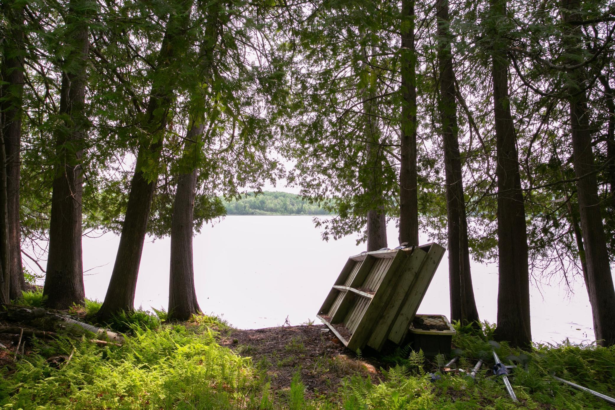 8586 West Graves Lake Road Northeast Remer, MN 56672 - Photo 14 of 46