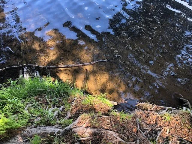 $375,000 | 8586 West Graves Lake Road Northeast, Remer, MN 56672