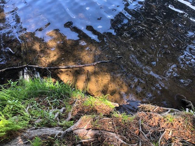 8586 West Graves Lake Road Northeast Remer, MN 56672 - Photo 16 of 46