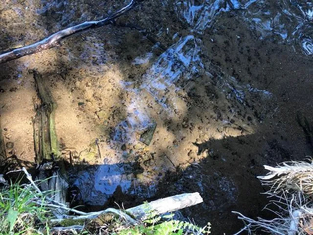 $375,000 | 8586 West Graves Lake Road Northeast, Remer, MN 56672