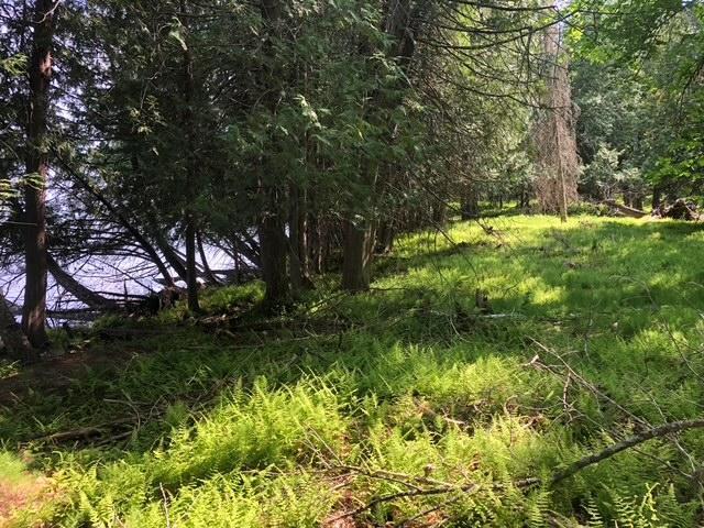 8586 West Graves Lake Road Northeast Remer, MN 56672 - Photo 18 of 46