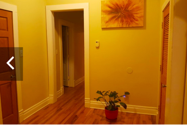 4429 South Calumet Avenue, Unit 2 Chicago, IL 60653 - Photo 2 of 10