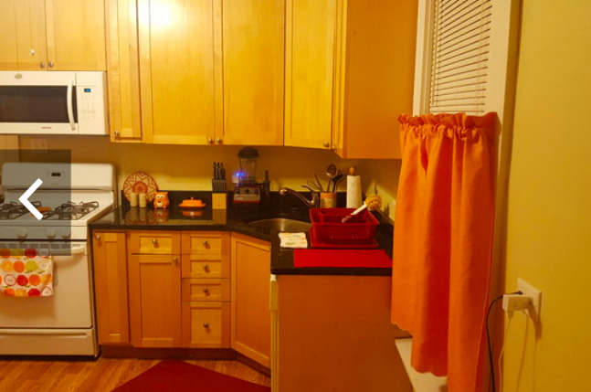 4429 South Calumet Avenue, Unit 2 Chicago, IL 60653 - Photo 7 of 10