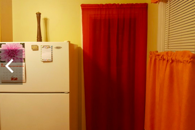 4429 South Calumet Avenue, Unit 2 Chicago, IL 60653 - Photo 8 of 10