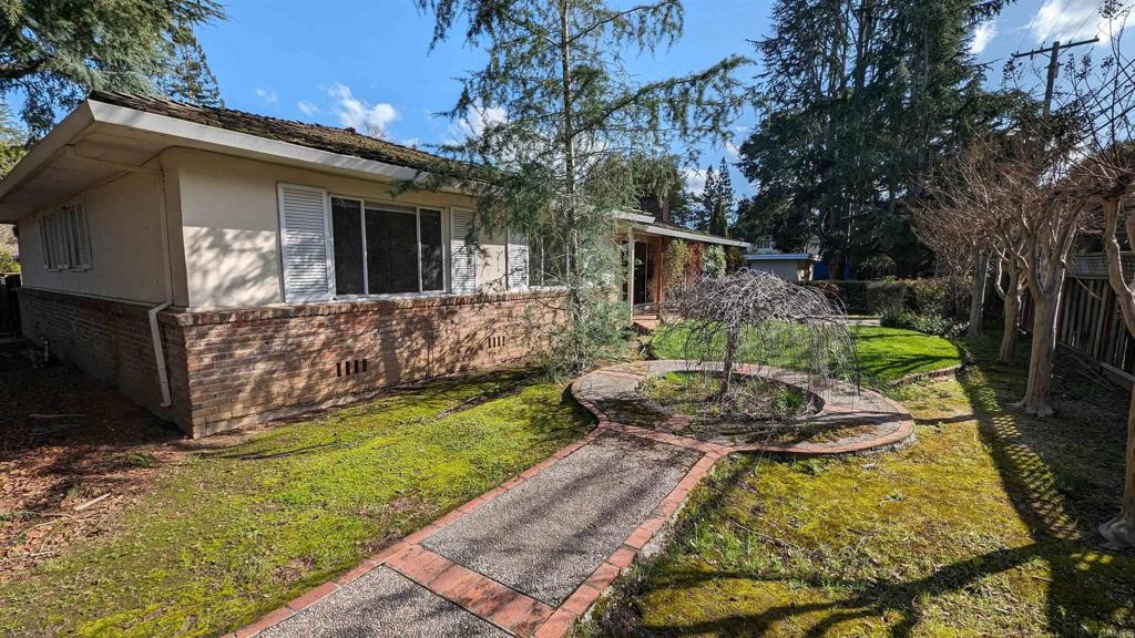 45 Springer Road Los Altos, CA 94024 - Photo 6 of 33 a view of backyard with a garden and plants