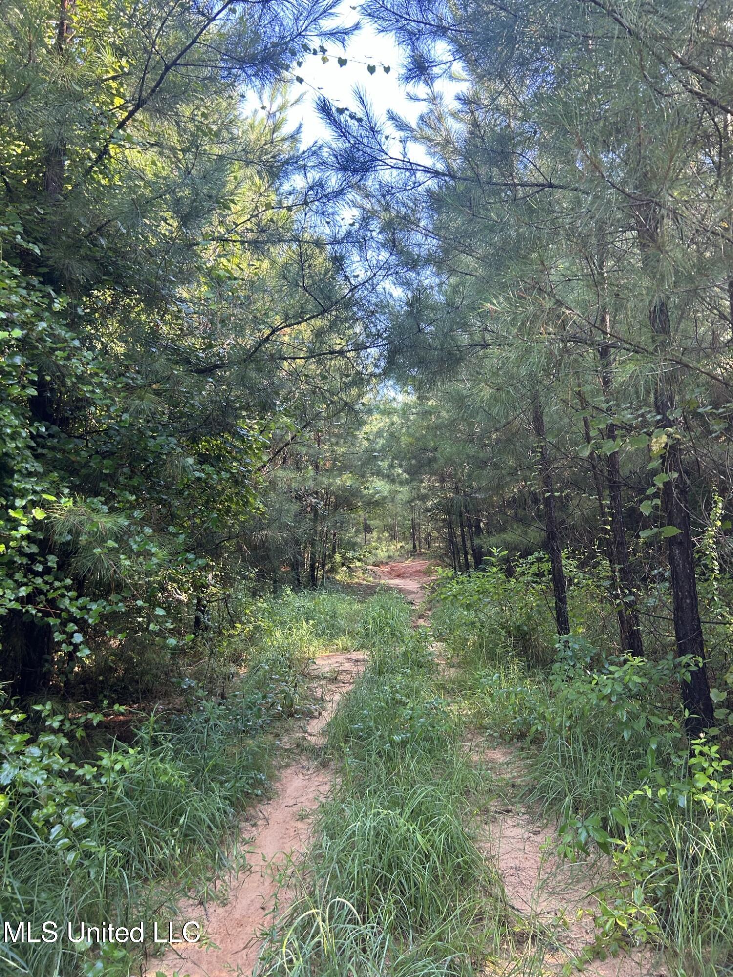 Southeast McCullough Road Southeast Bogue Chitto, MS 39629 - Photo 5 of 10 IMG_9677