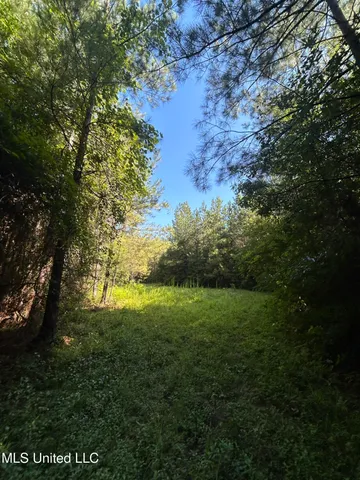 $146,040 | Southeast McCullough Road Southeast, Bogue Chitto, MS 39629