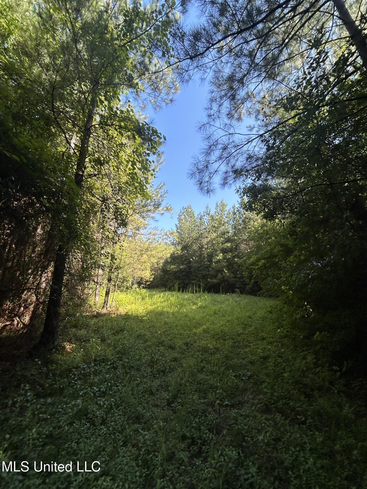 Southeast McCullough Road Southeast Bogue Chitto, MS 39629 - Photo 6 of 10 IMG_9680
