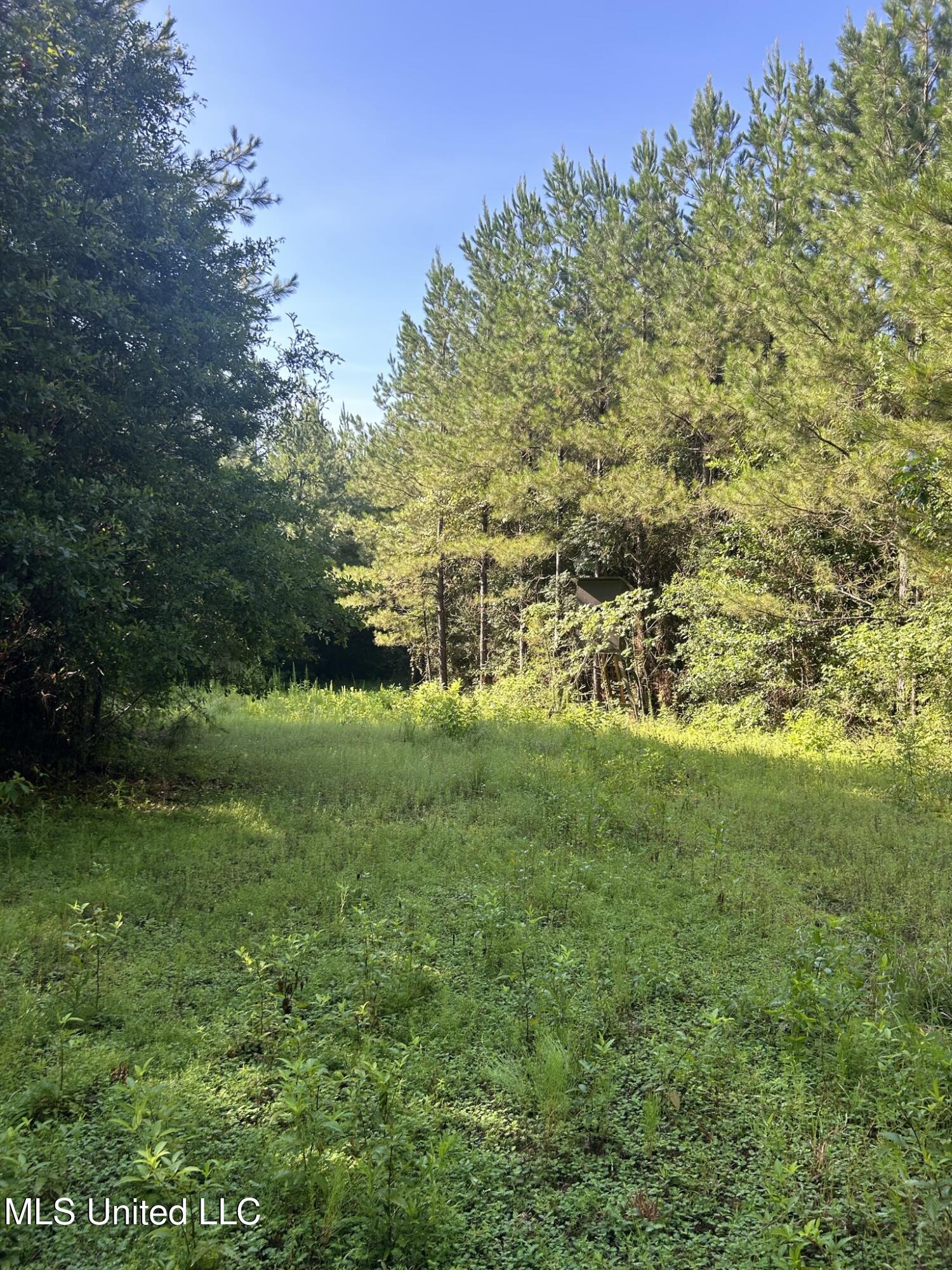 Southeast McCullough Road Southeast Bogue Chitto, MS 39629 - Photo 7 of 10 IMG_9683