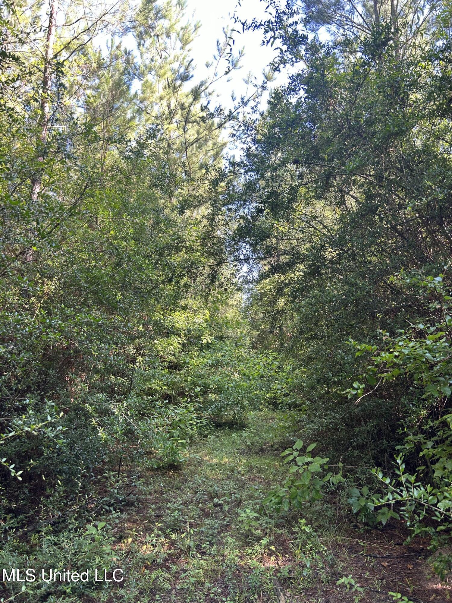 Southeast McCullough Road Southeast Bogue Chitto, MS 39629 - Photo 8 of 10 IMG_9684
