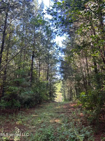 $146,040 | Southeast McCullough Road Southeast, Bogue Chitto, MS 39629