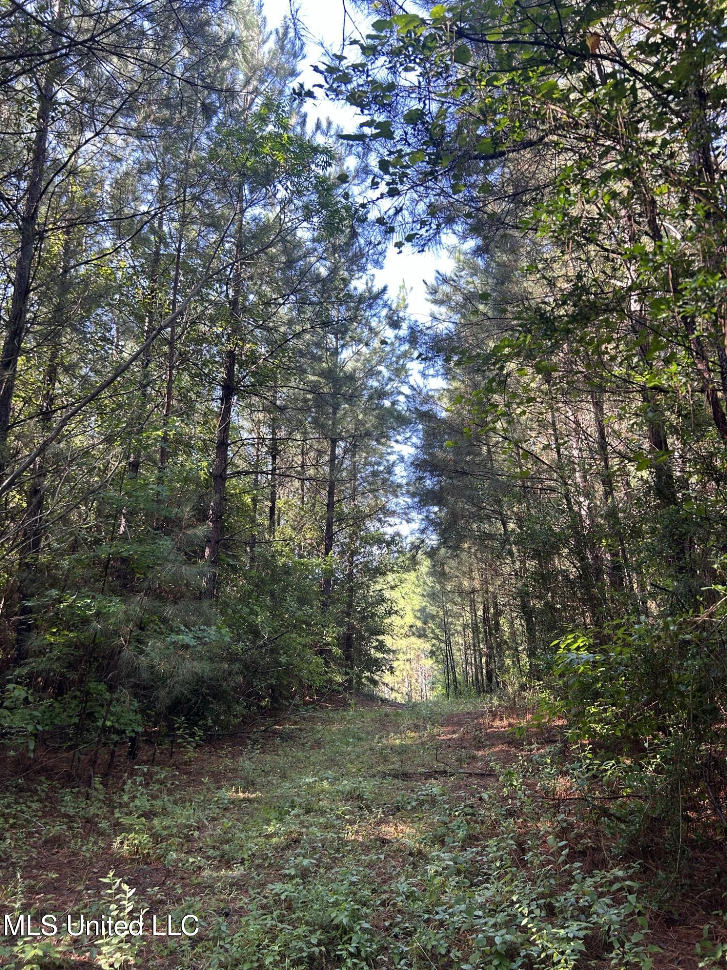 Southeast McCullough Road Southeast Bogue Chitto, MS 39629 - Photo 9 of 10 IMG_9687