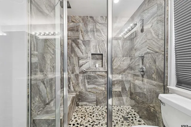 a bathroom with a shower and a toilet