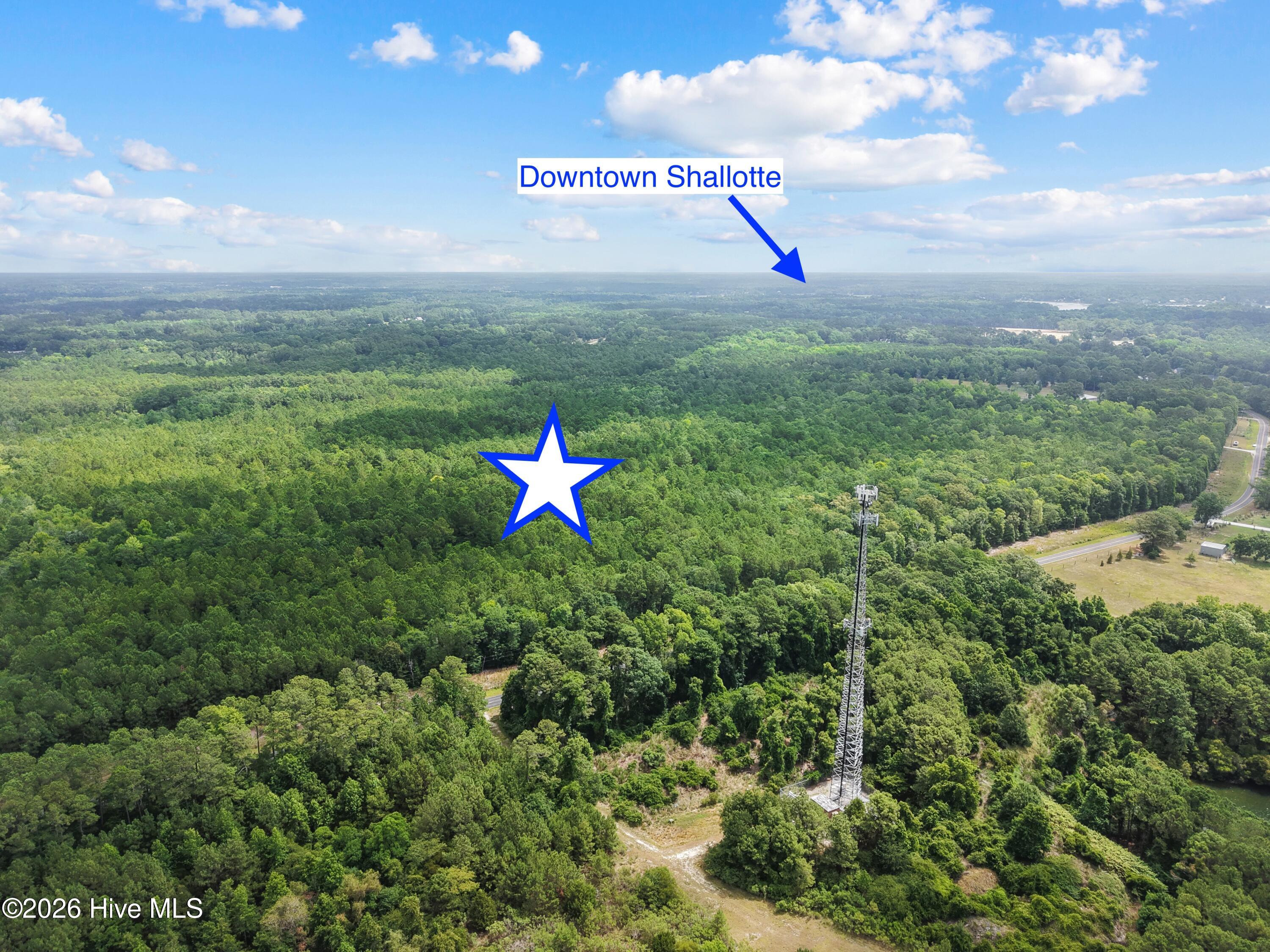 0 Todd Road Southwest Shallotte, NC 28470 - Photo 10 of 22