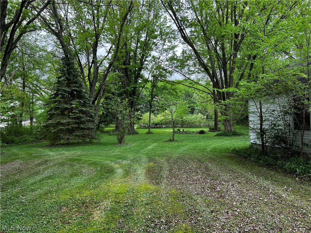 34551 Lorain Road North Ridgeville, OH 44039 - Photo 14 of 22 View of yard
