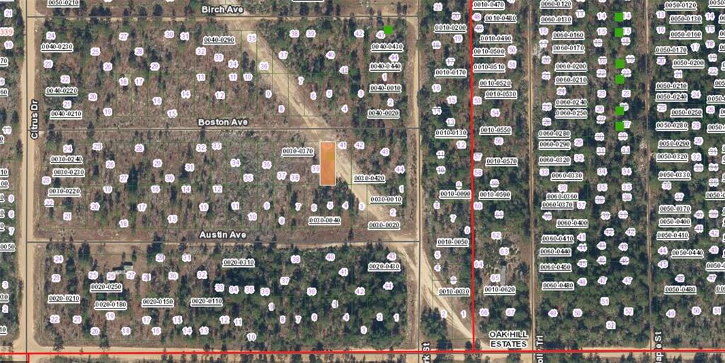 Xx Boston Avenue Interlachen, FL 32148 - Photo 2 of 3