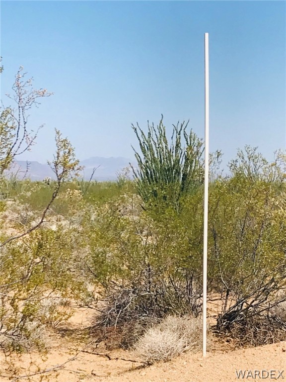 3507 South Lone Ranger Road Yucca, AZ 86438 - Photo 2 of 19