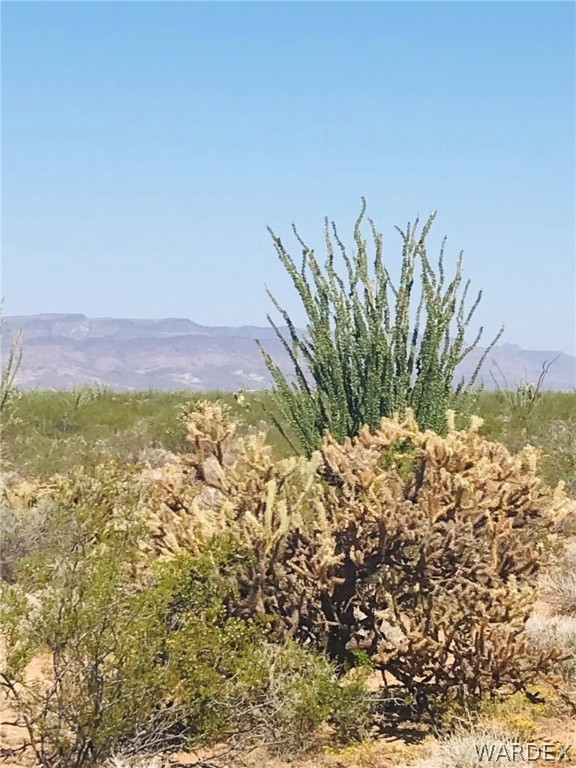 3507 South Lone Ranger Road Yucca, AZ 86438 - Photo 4 of 19