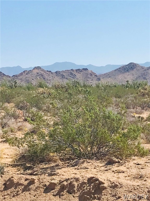 3507 South Lone Ranger Road Yucca, AZ 86438 - Photo 5 of 19