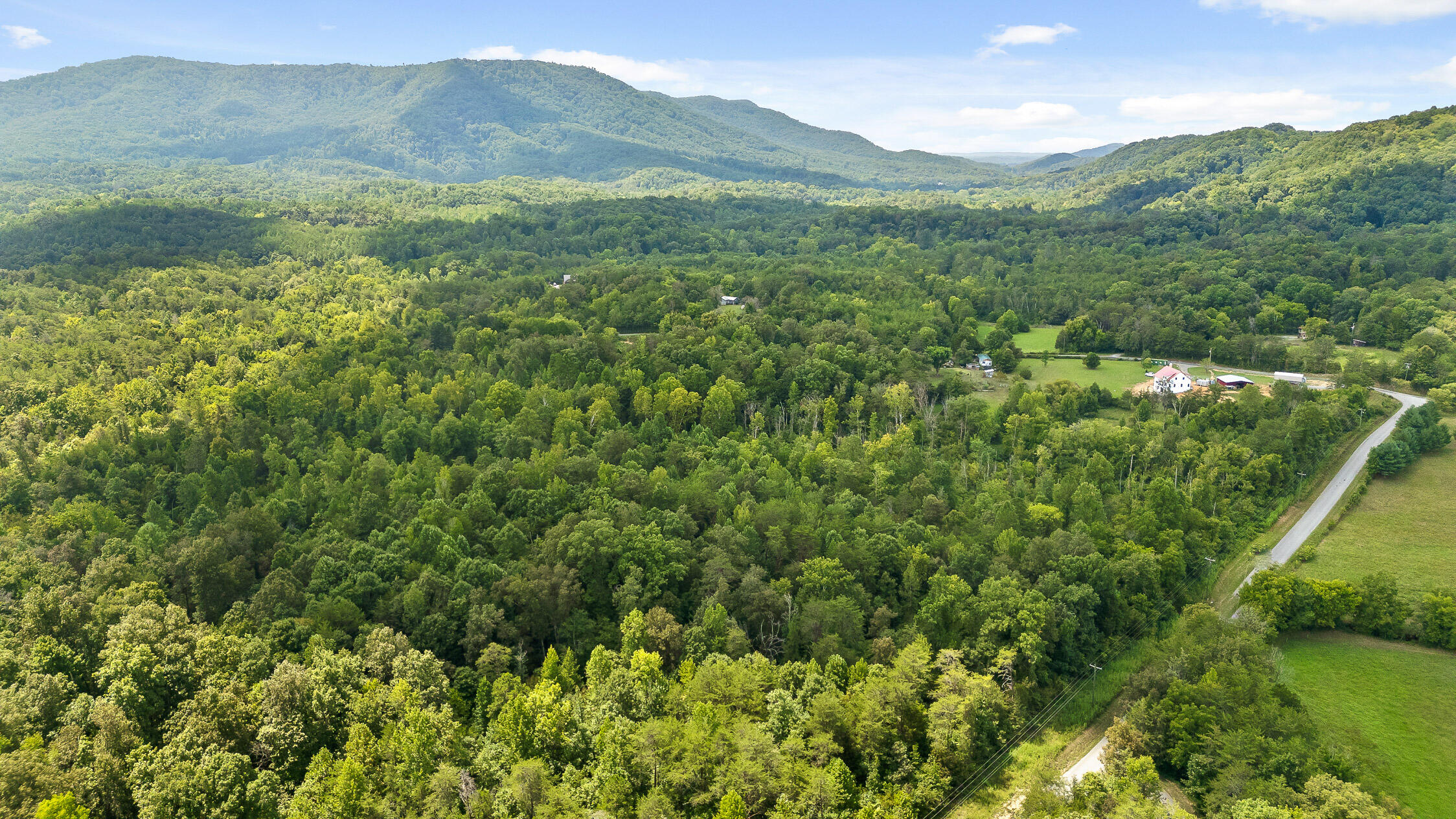 12-Shoal Creek Rd-12