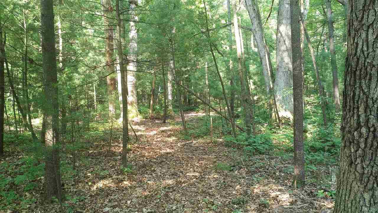 10724 Wildwood Road Interlochen, MI 49643 - Photo 8 of 31 1892325-7.JPG
