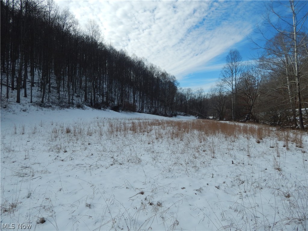 0 Hazelgreen Road Smithville, WV 26178 - Photo 9 of 23