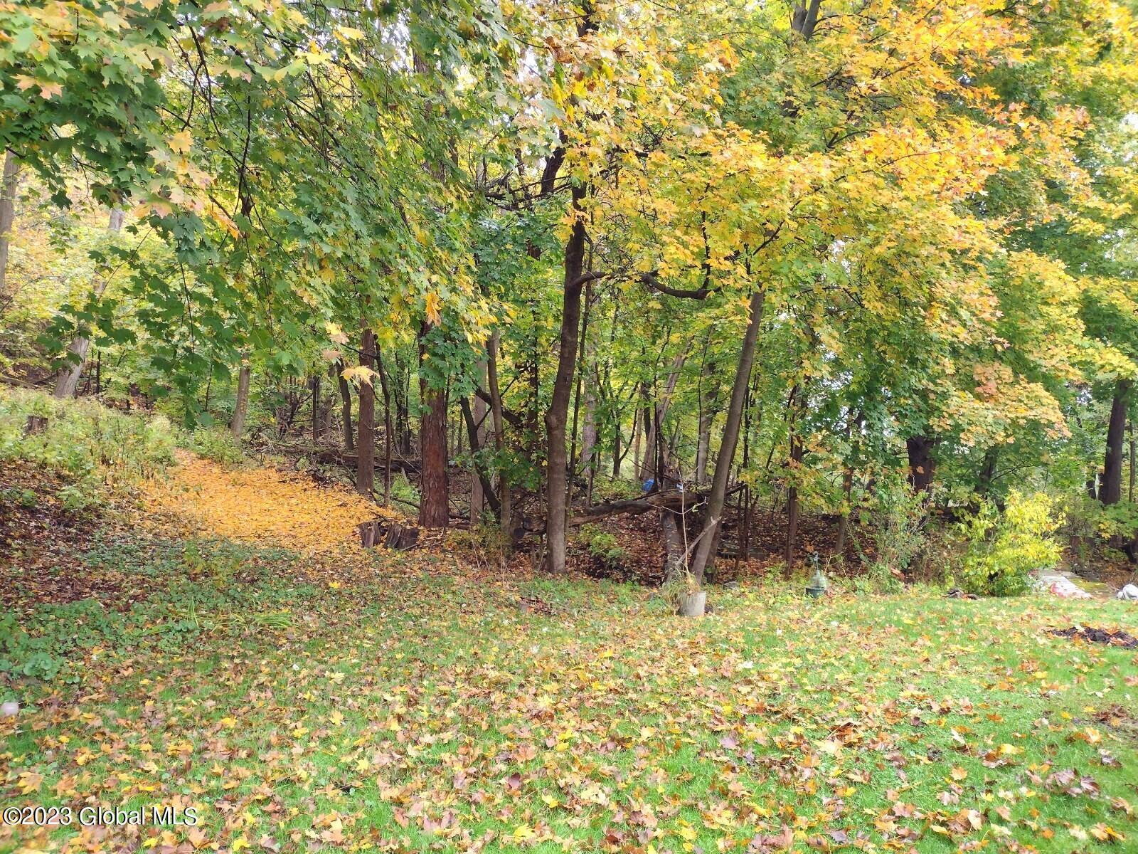 20 Schermerhorn Road Rotterdam, NY 12306 - Photo 30 of 37 IMG_20221025_125429252